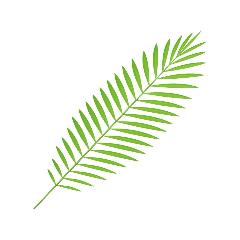 Green fern botanical tree branch nature ecology jungle rainforest paradise plant 3d icon vector