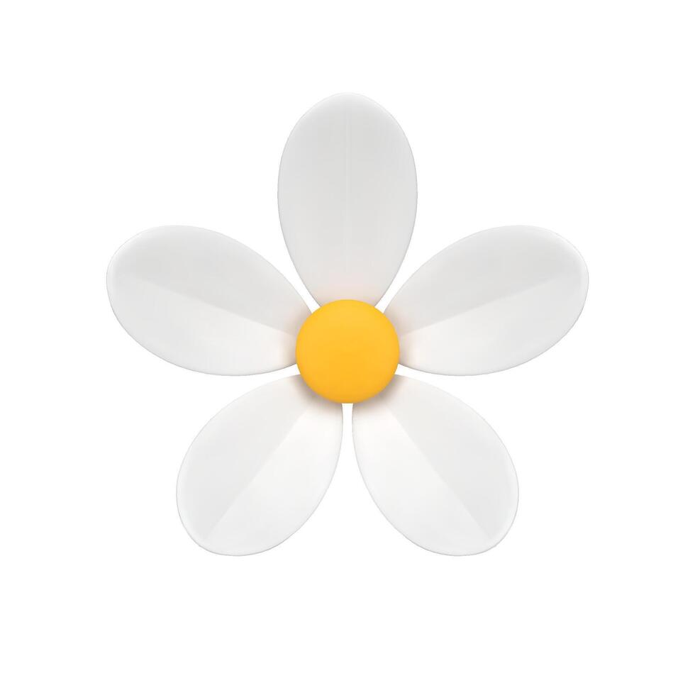 Romantic chamomile natural organic flower botanical blossom bud isometric 3d icon realistic vector