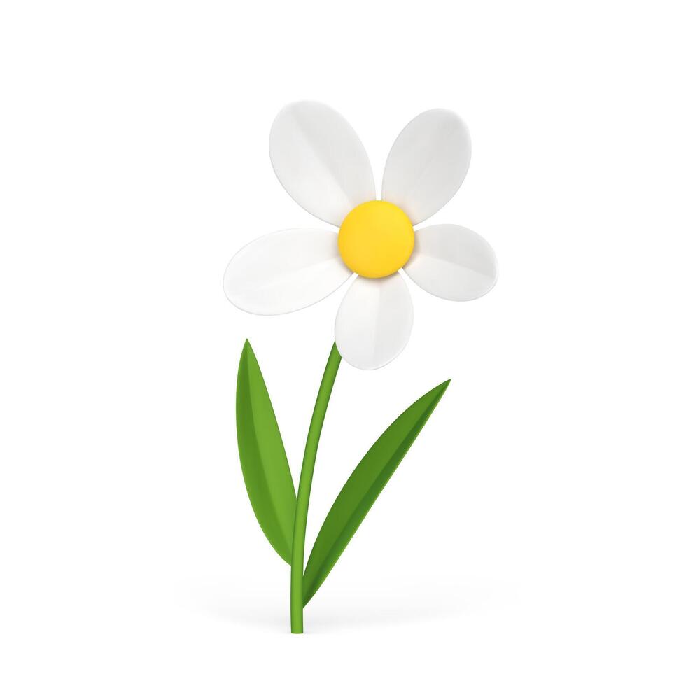 Organic chamomile natural flower botanical blossom summer spring plant 3d icon realistic vector