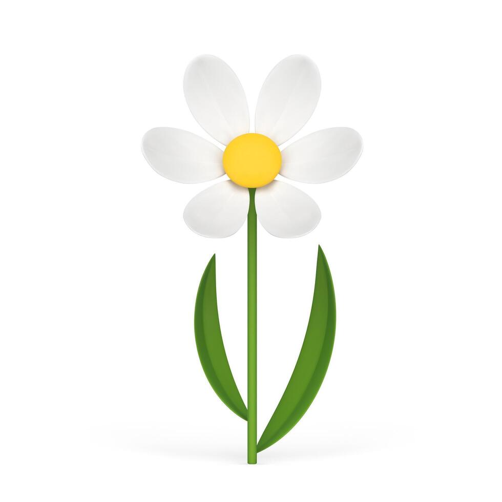 Organic chamomile natural flower botanical blossom summer spring plant 3d icon realistic vector