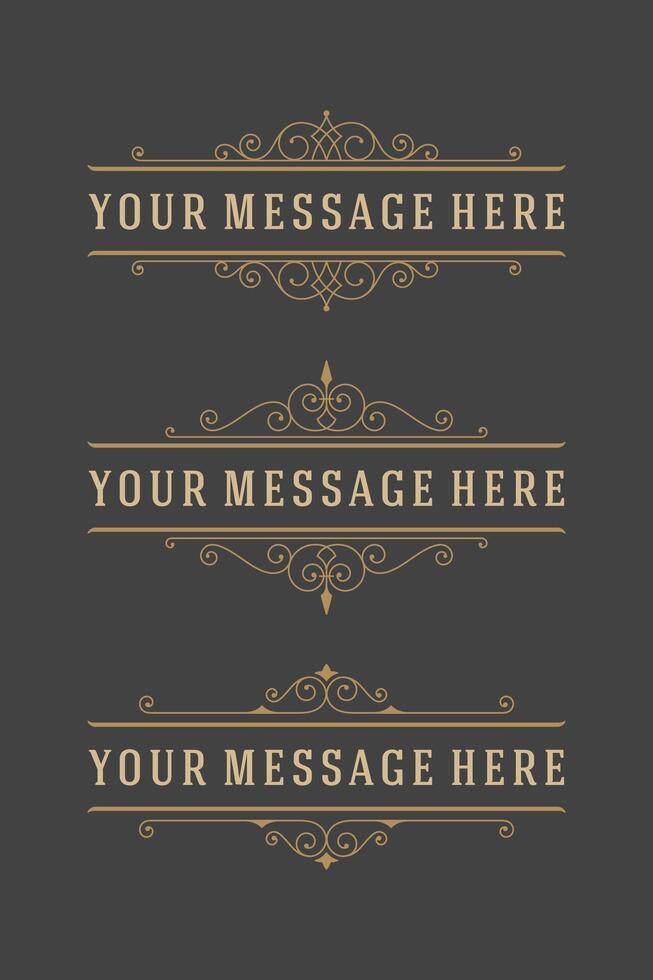 Vintage Ornaments Decorations Design Elements and Place For Text. vector