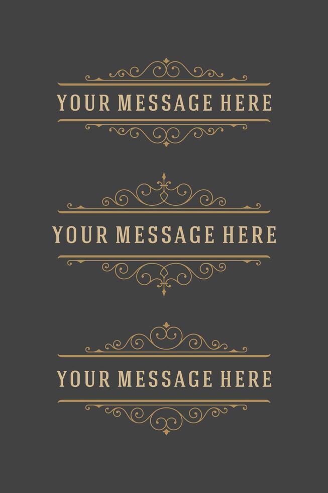 Vintage Ornaments Decorations Design Elements and Place ForText vector