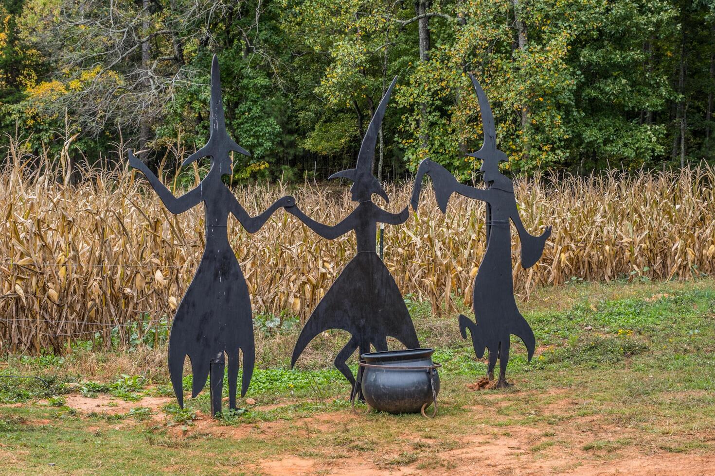 Witches with cauldron Halloween decorations photo