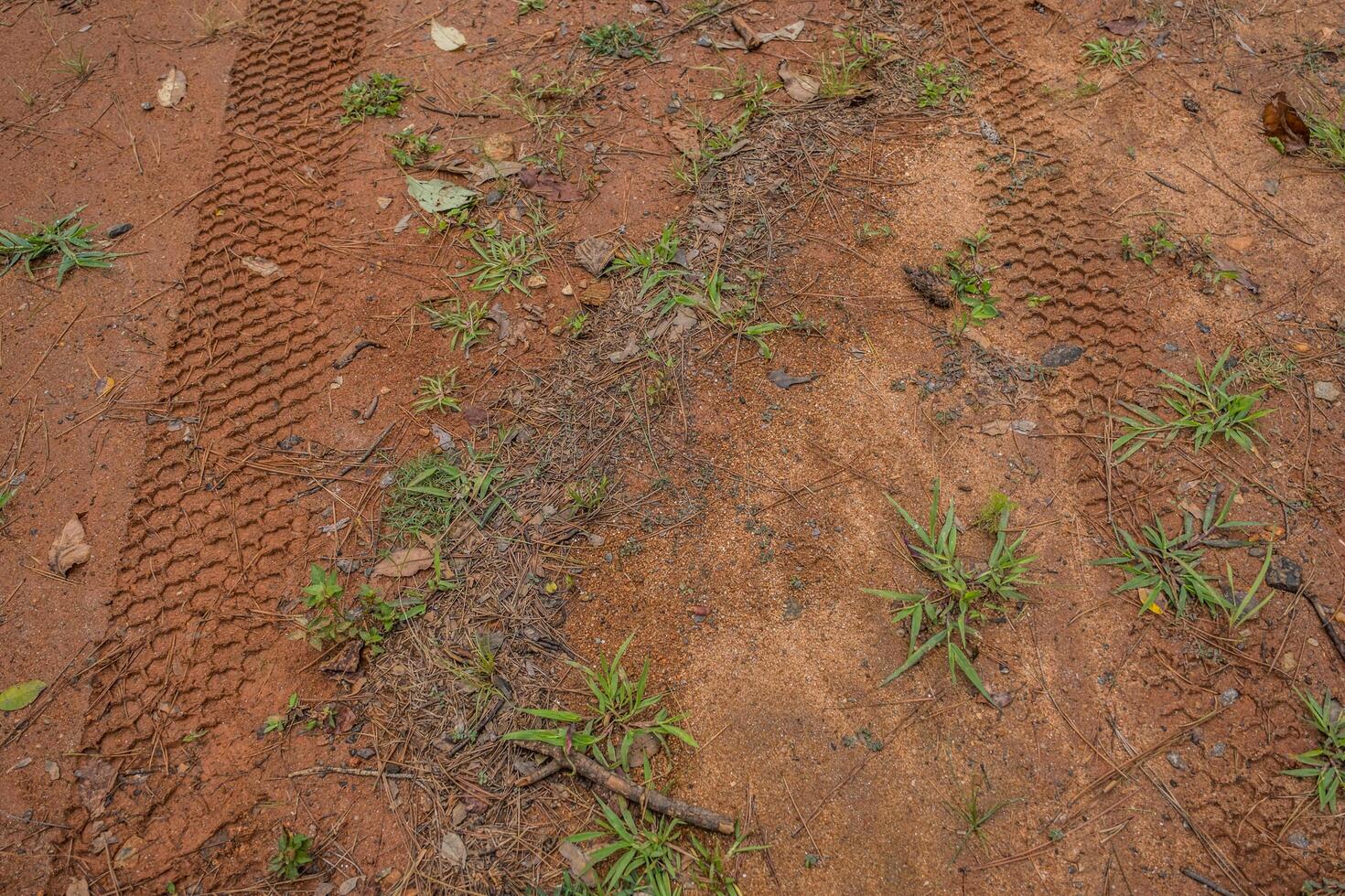 All-terrain vehicle tracks in the mud photo