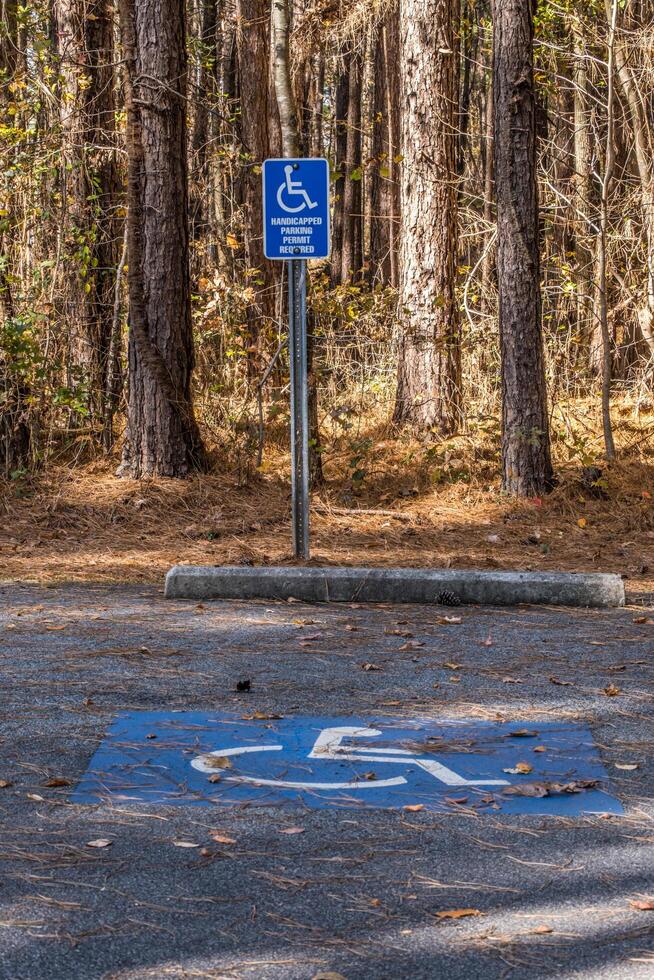 Handicap parking at the park photo