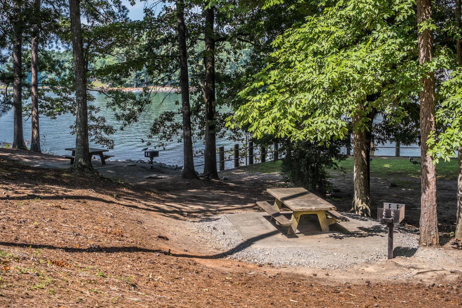 Picnic area by the lake photo