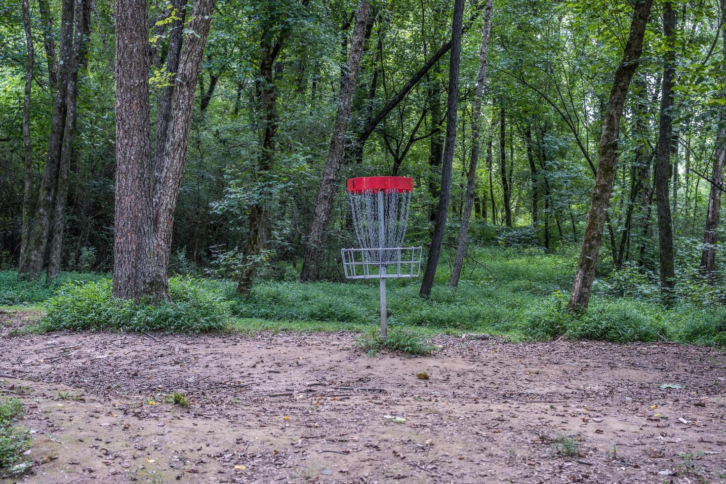 Disc golf basket in the woodlands photo