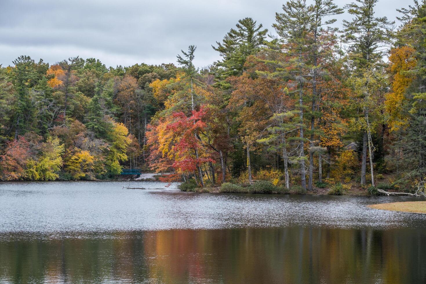 Autumn landscape at the lake photo