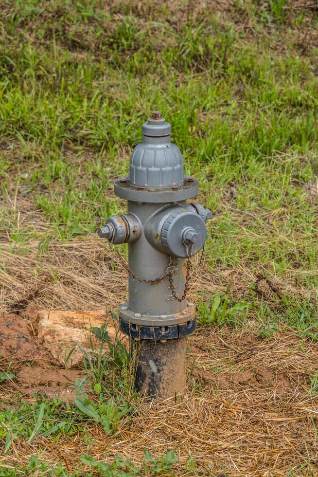 Fire hydrant outdoors in grass photo
