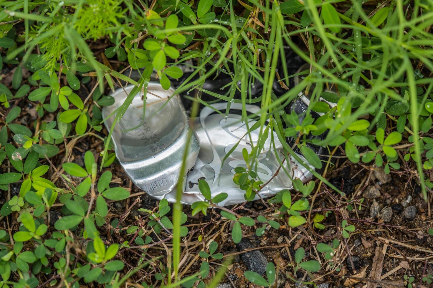 Cumming, Georgia USA - June 25, 2020 Crushed Coca-Cola can laying on the ground closeup photo