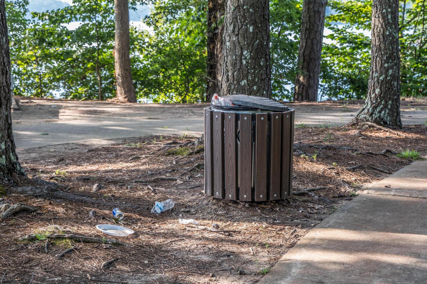 basura lata Desbordamiento en el parque foto