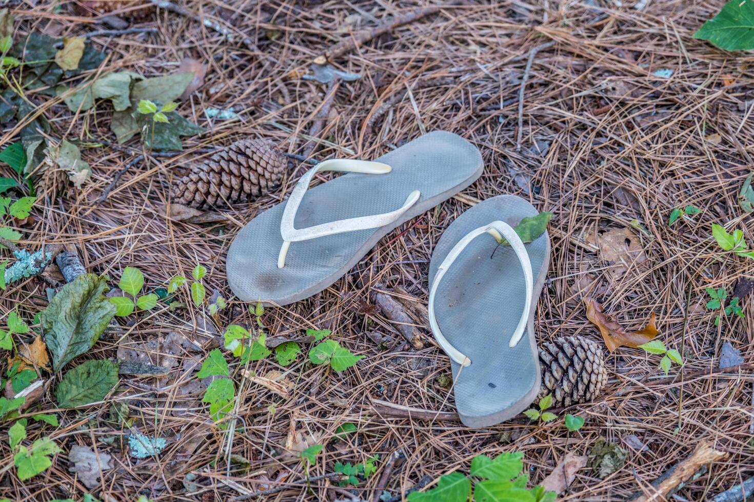 Abandoned flip-flops at the park photo