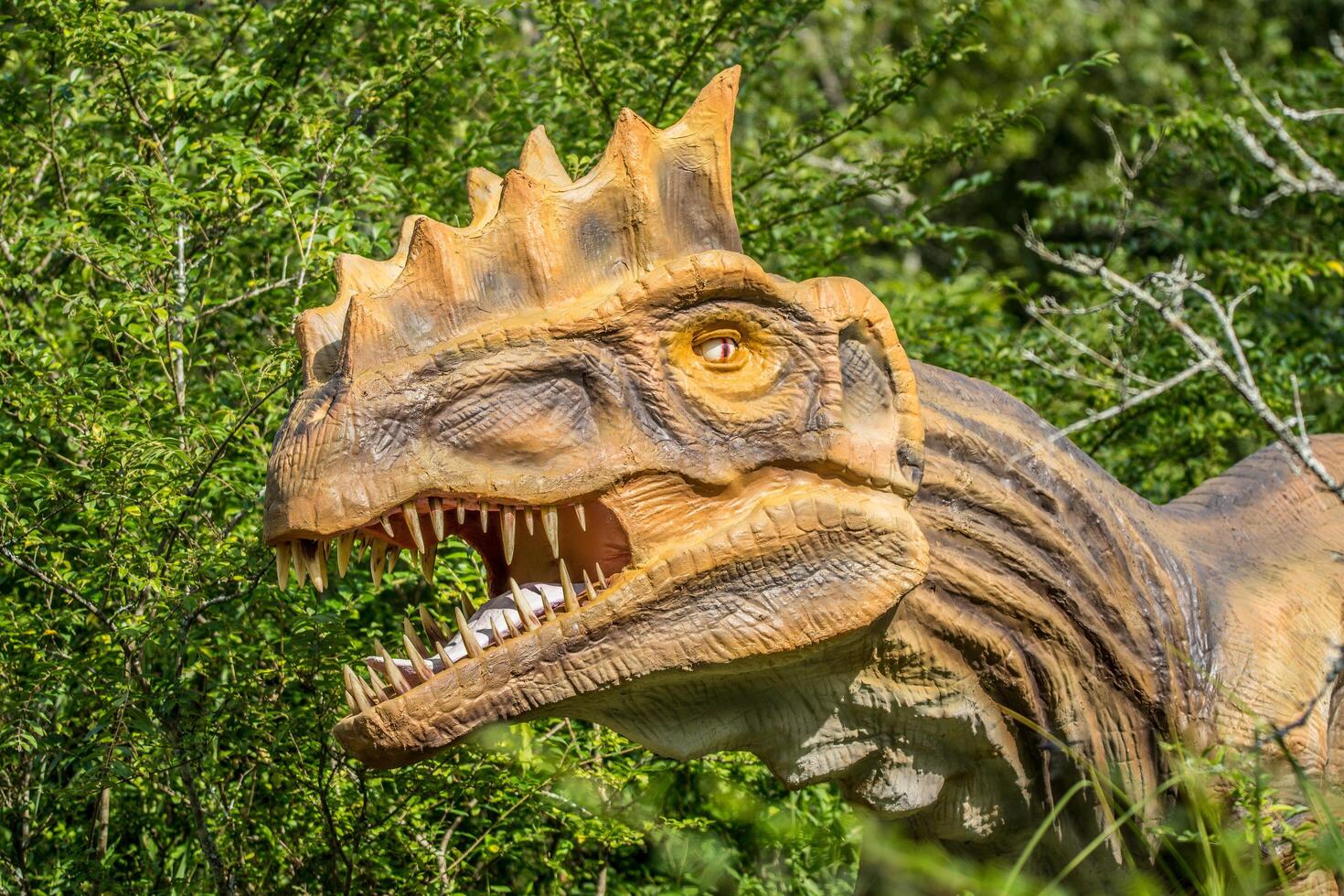 Tyrannosaurus dinosaur in the woods photo