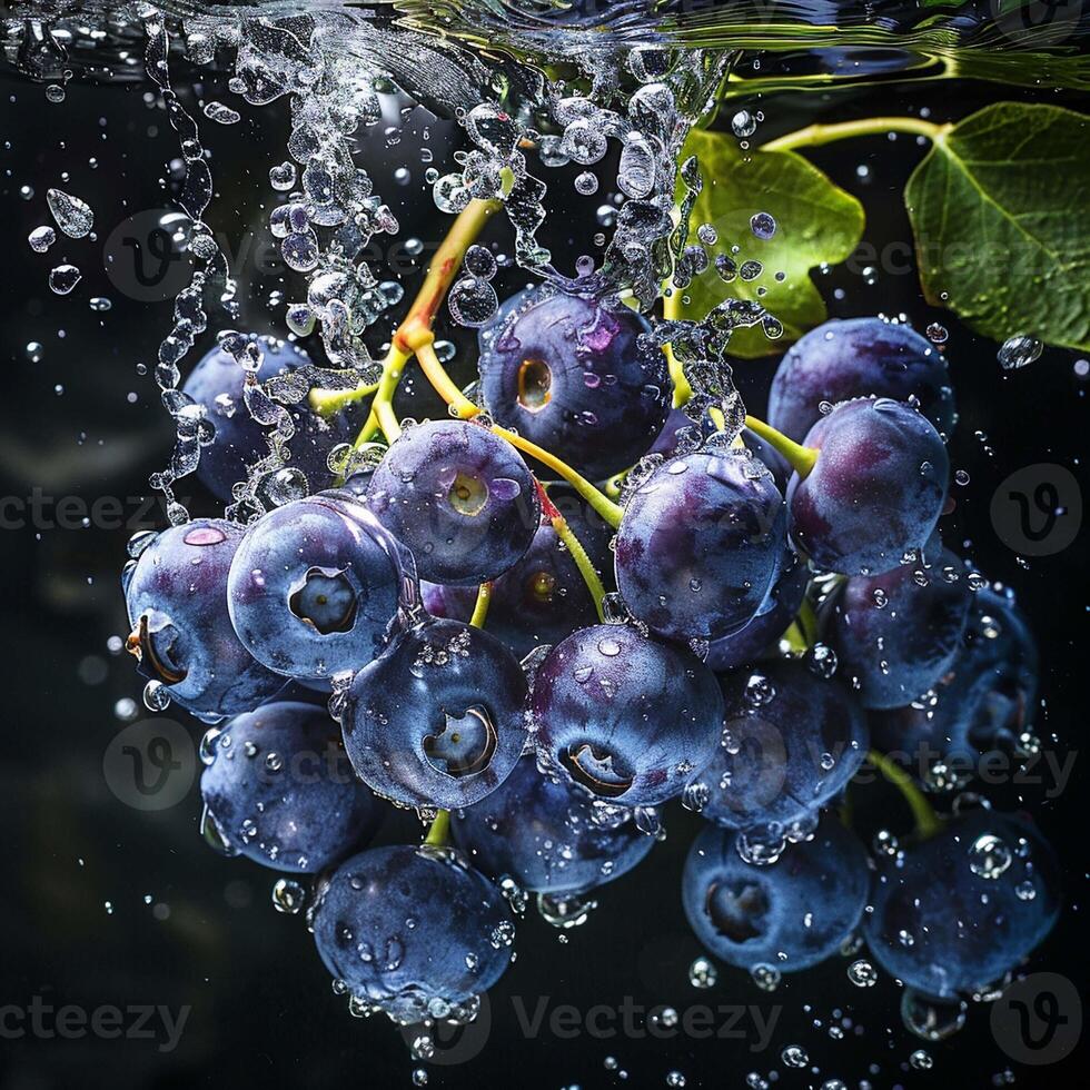 blackberries falling in water with splash on black background. photo