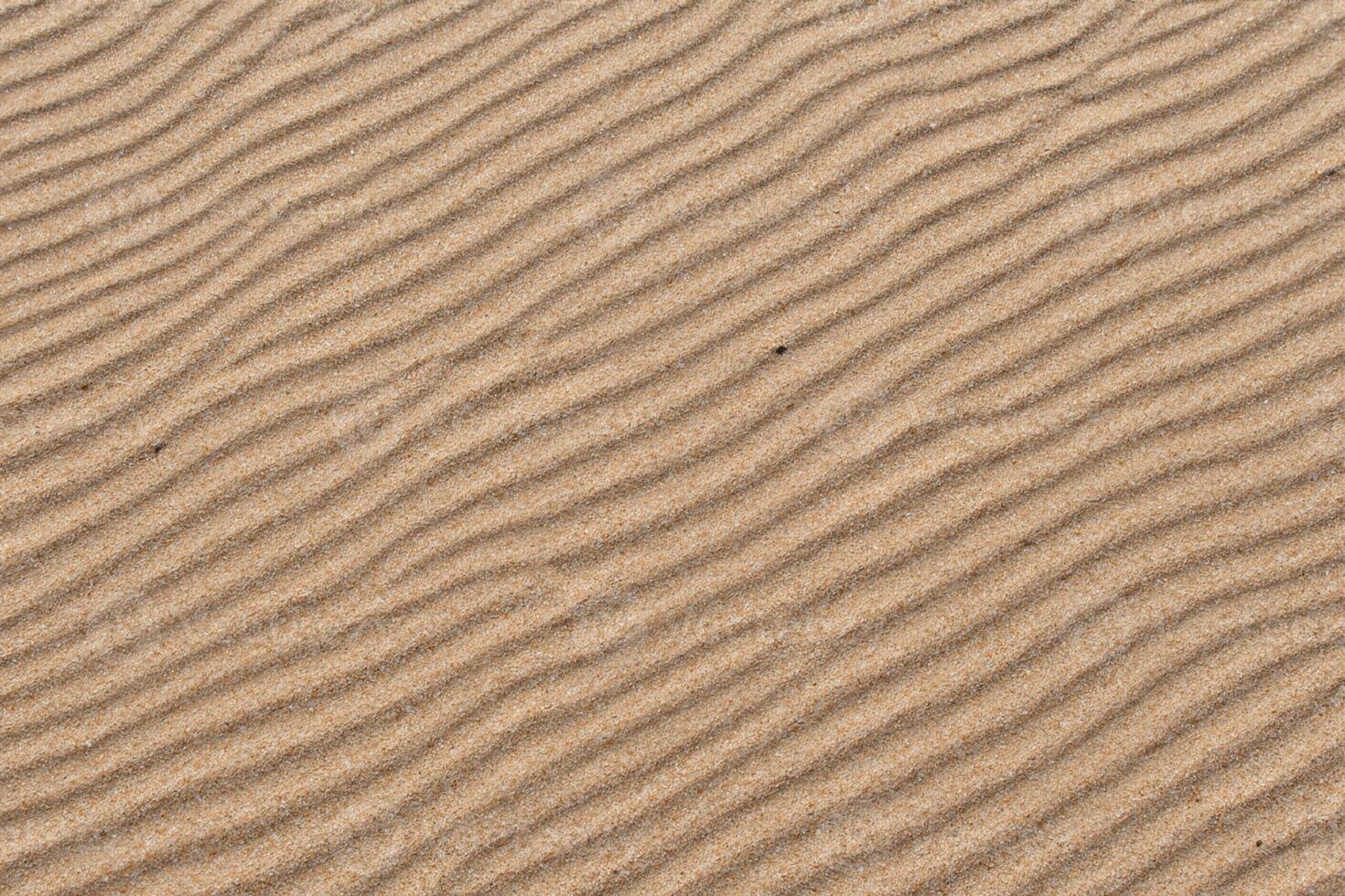 playa de serenidad abrazando el belleza de natural motivo playa, un tranquilo tapiz de la tierra patrones foto