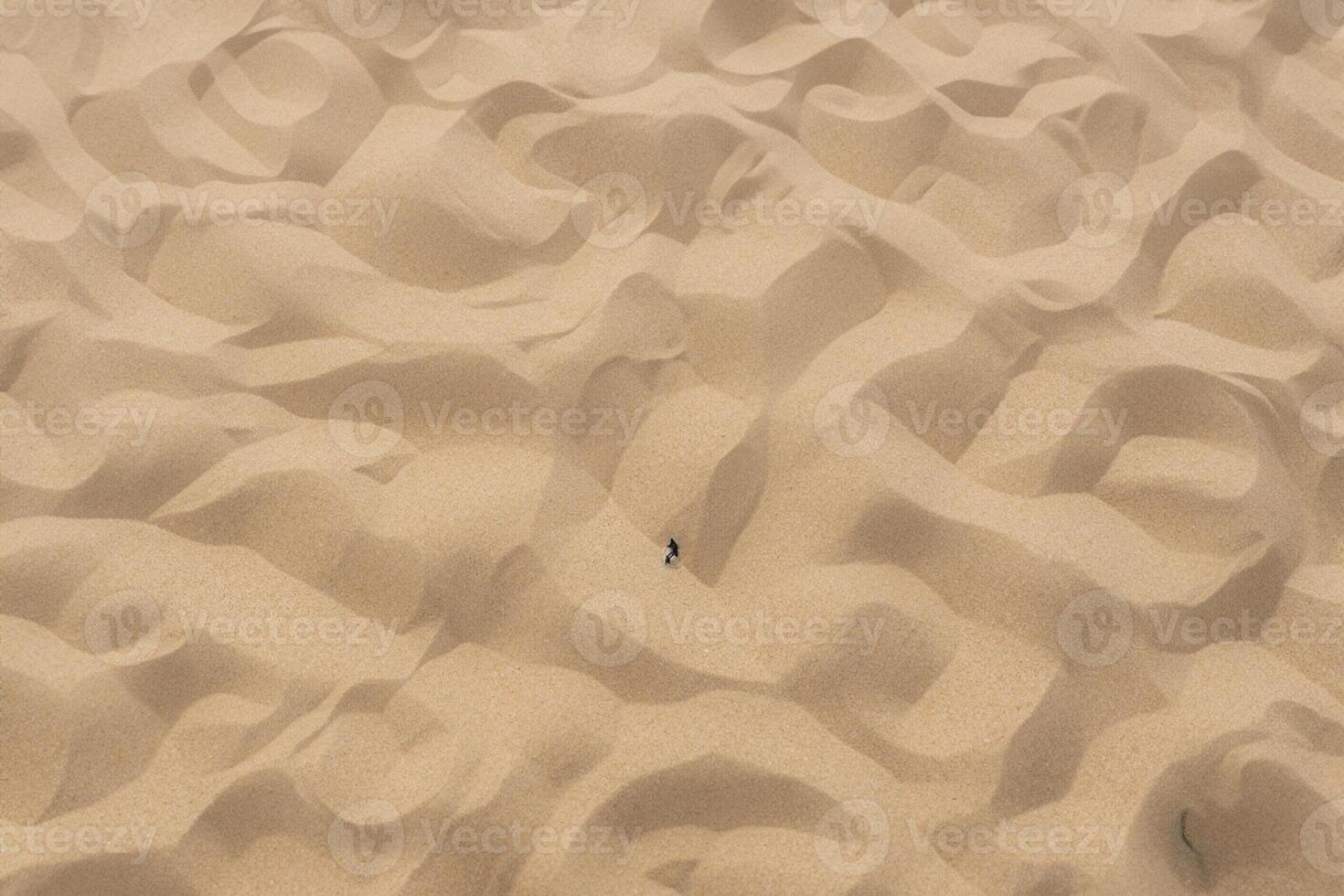 Sands of Serenity Embracing the Beauty of Natural Motif Sands, A Tranquil Tapestry of Earth's Patterns photo