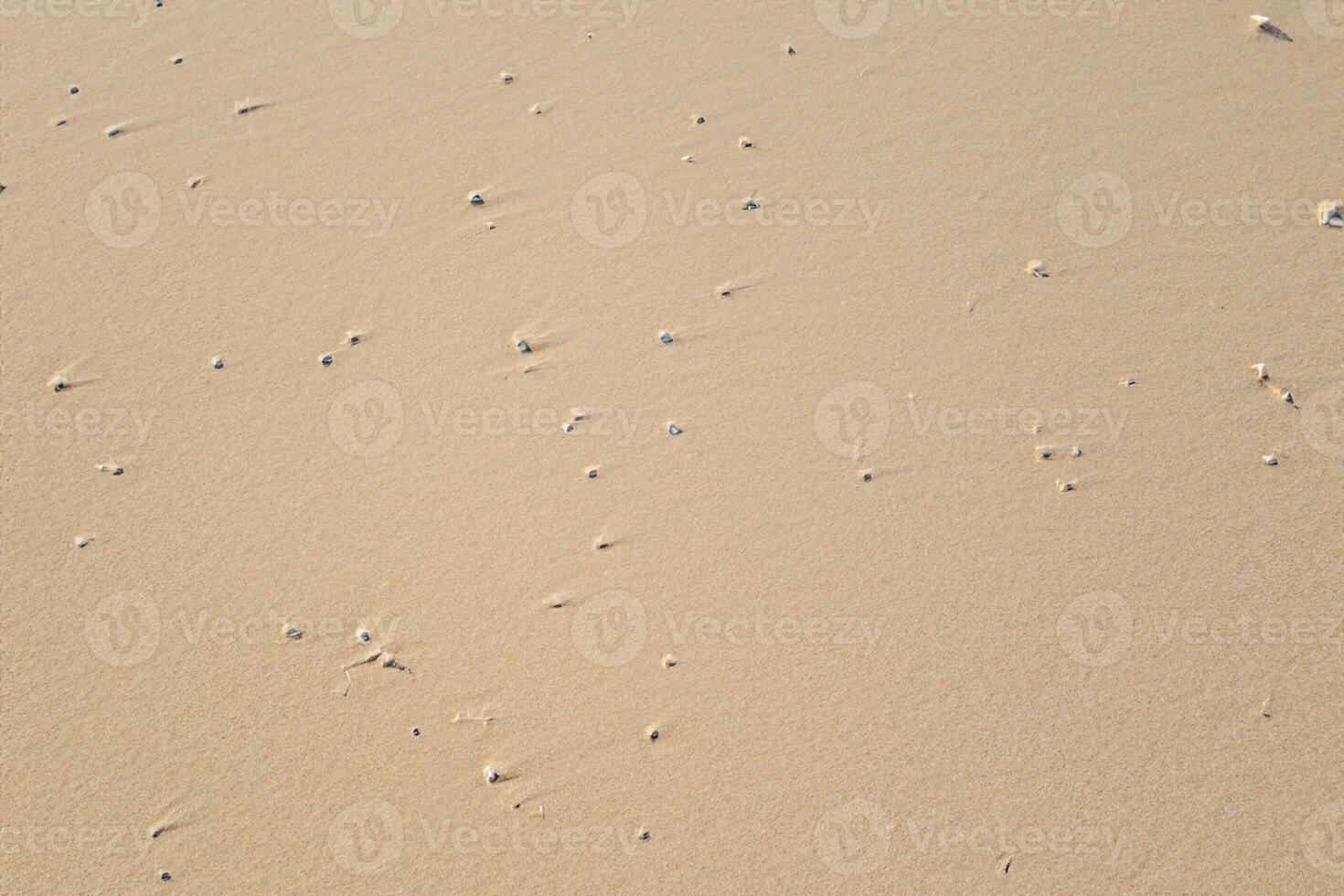 Horizon Haven Aerial Serenity Captures Beautiful Beach Sand from Above, a Tranquil Tapestry of Coastal Beauty photo