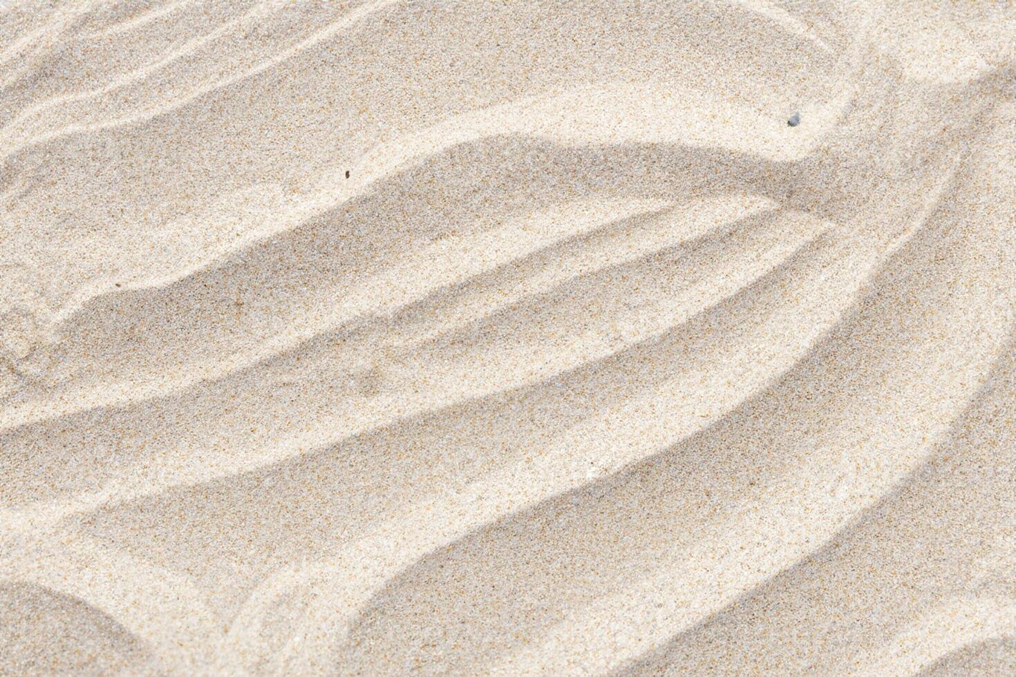 playa de serenidad abrazando el belleza de natural motivo playa, un tranquilo tapiz de la tierra patrones foto