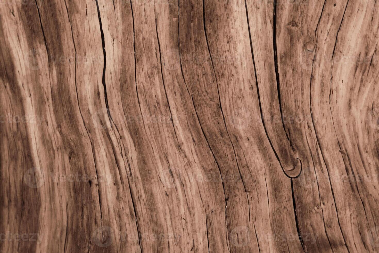 Embracing the Beauty of Natural Wood Background, A Rustic Canvas of Organic Warmth and Texture photo