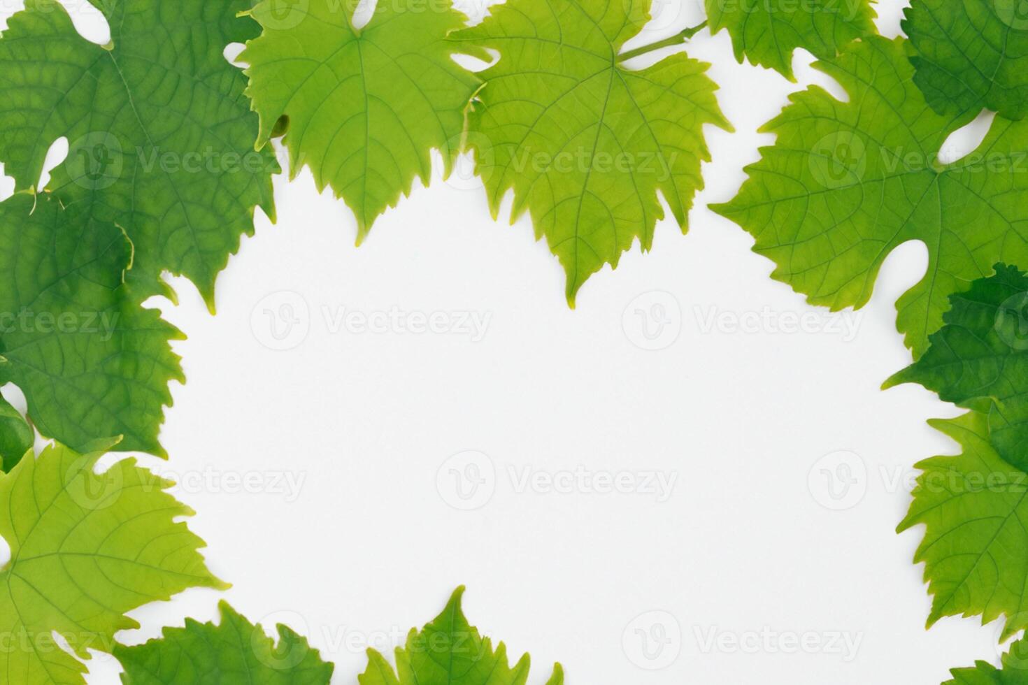 Leafy Elegance Grape Leaves Adorn White Paper Mockup, A Delicate Fusion of Nature's Charm on Display photo