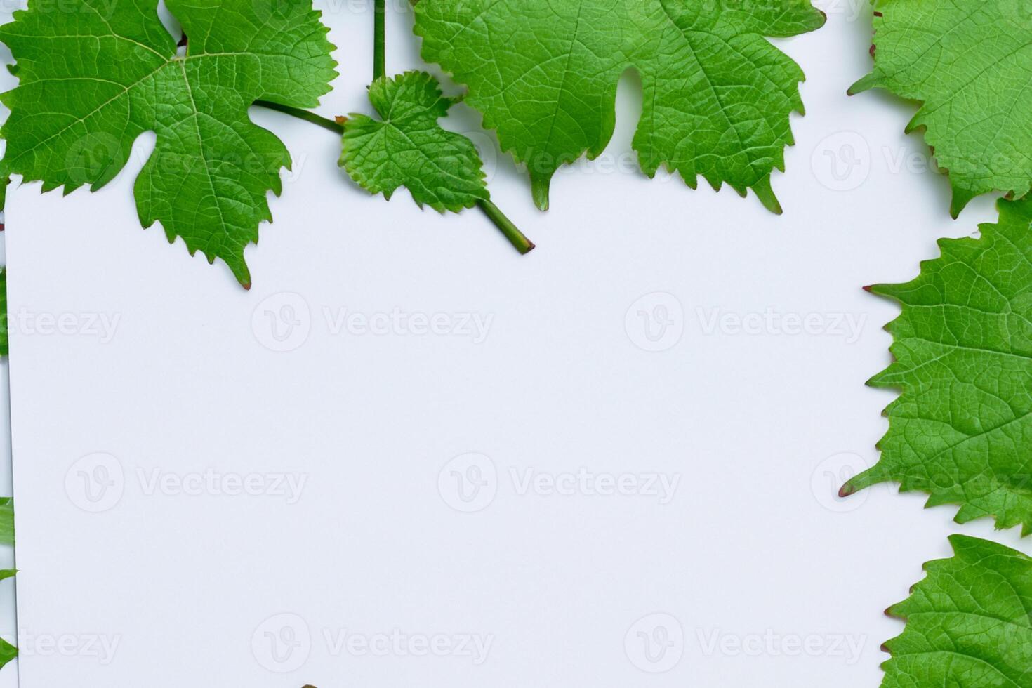 Leafy Elegance Grape Leaves Adorn White Paper Mockup, A Delicate Fusion of Nature's Charm on Display photo