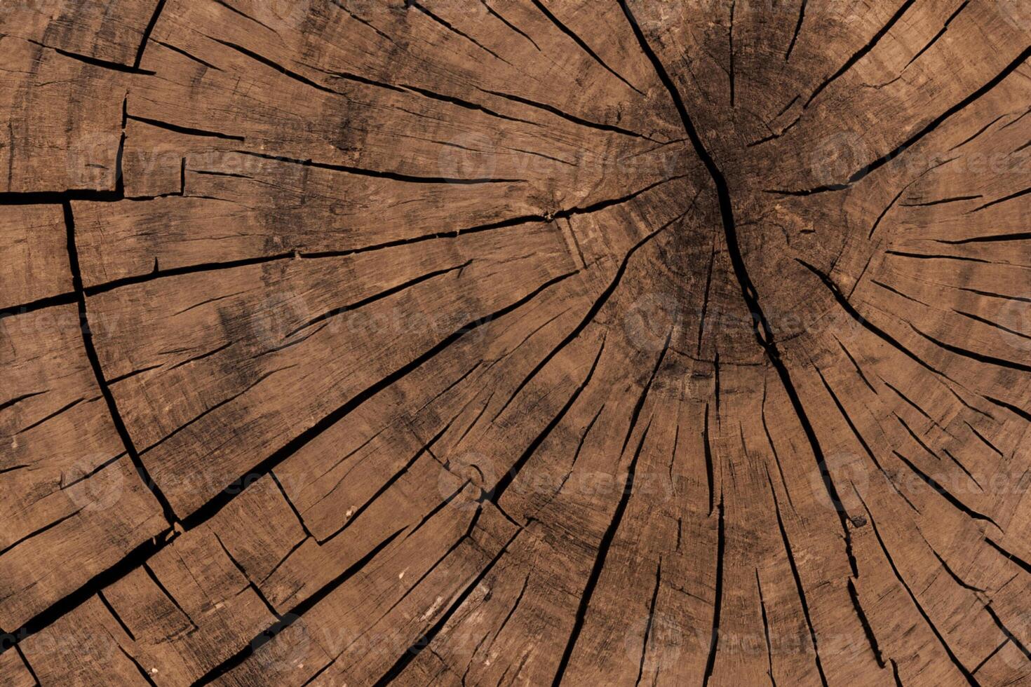 Embracing the Beauty of Natural Wood Background, A Rustic Canvas of Organic Warmth and Texture photo