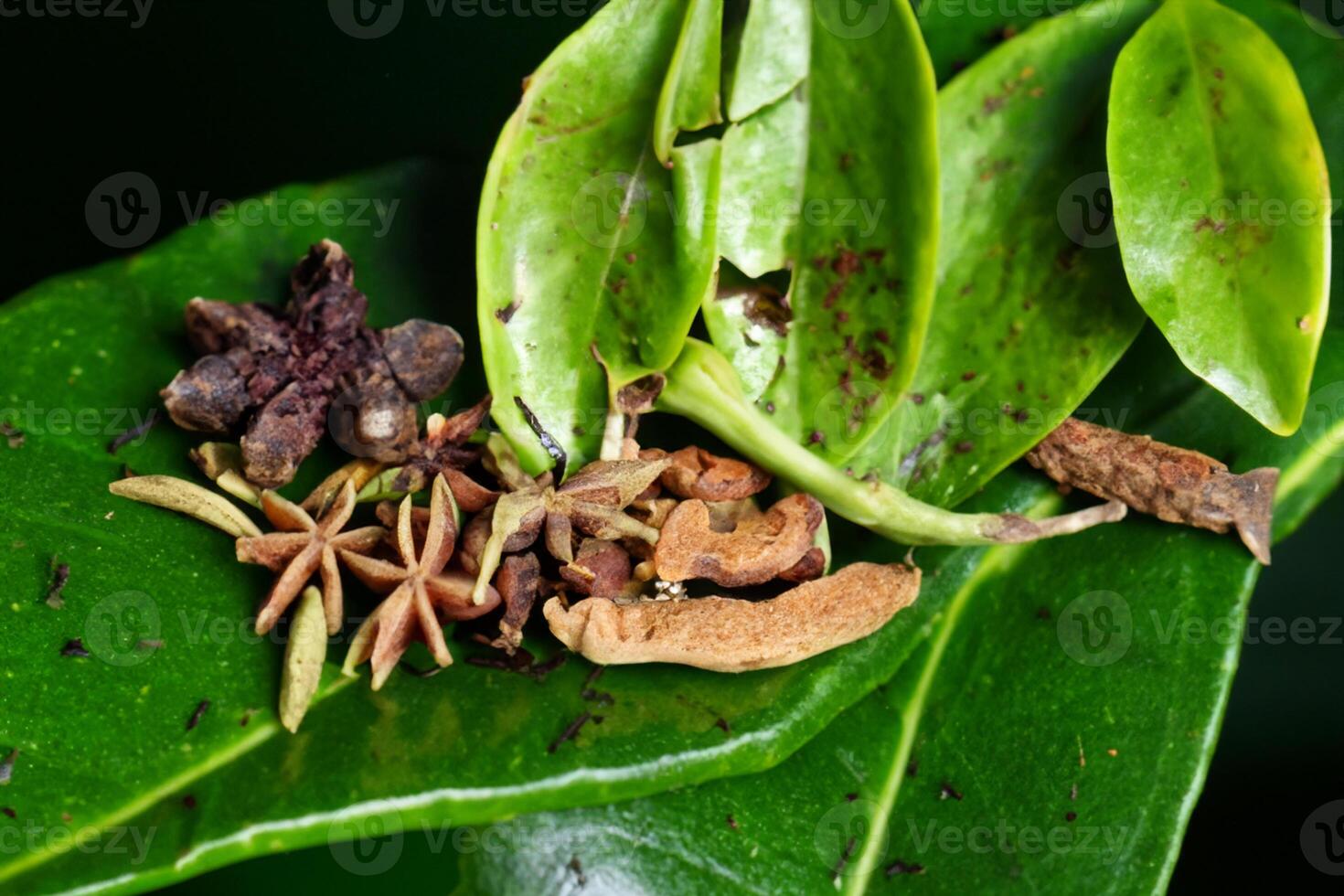 explorador el belleza de macro especias y hierba fondo, un sabroso tapiz de culinario inspiración foto