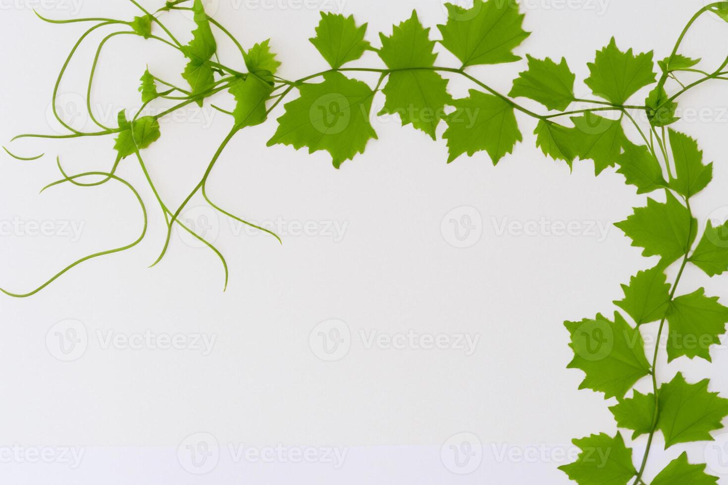 Leafy Elegance Grape Leaves Adorn White Paper Mockup, A Delicate Fusion of Nature's Charm on Display photo