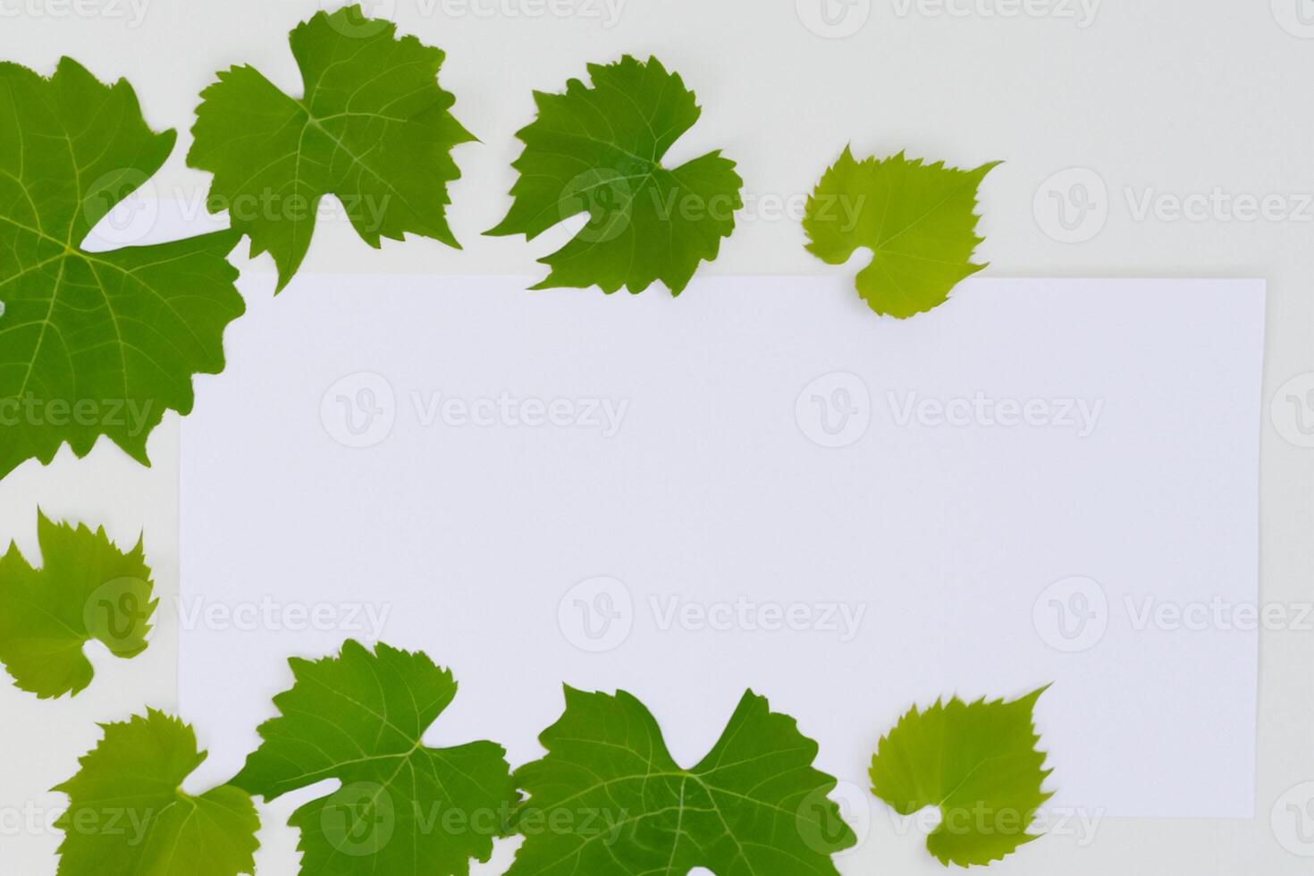 Leafy Elegance Grape Leaves Adorn White Paper Mockup, A Delicate Fusion of Nature's Charm on Display photo