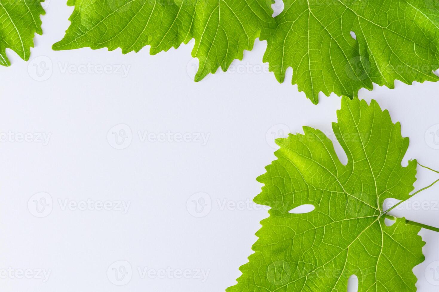 Leafy Elegance Grape Leaves Adorn White Paper Mockup, A Delicate Fusion of Nature's Charm on Display photo
