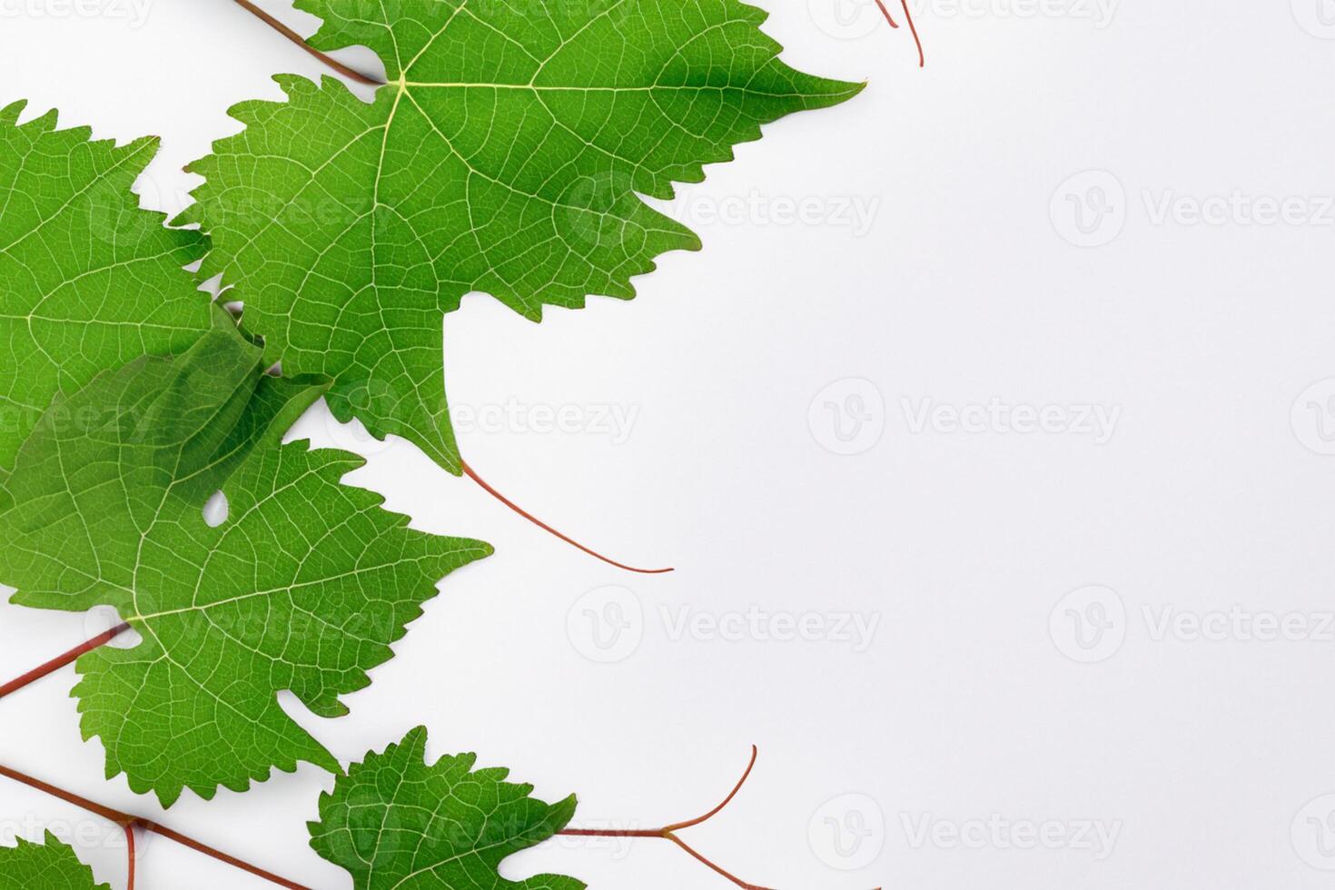 Leafy Elegance Grape Leaves Adorn White Paper Mockup, A Delicate Fusion of Nature's Charm on Display photo