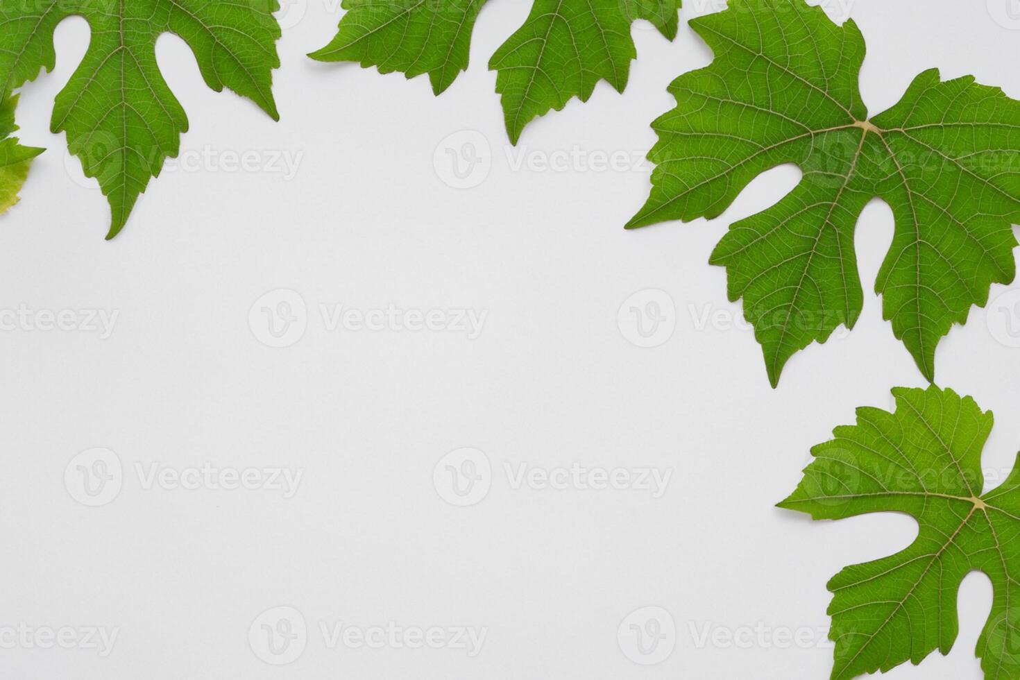 Leafy Elegance Grape Leaves Adorn White Paper Mockup, A Delicate Fusion of Nature's Charm on Display photo