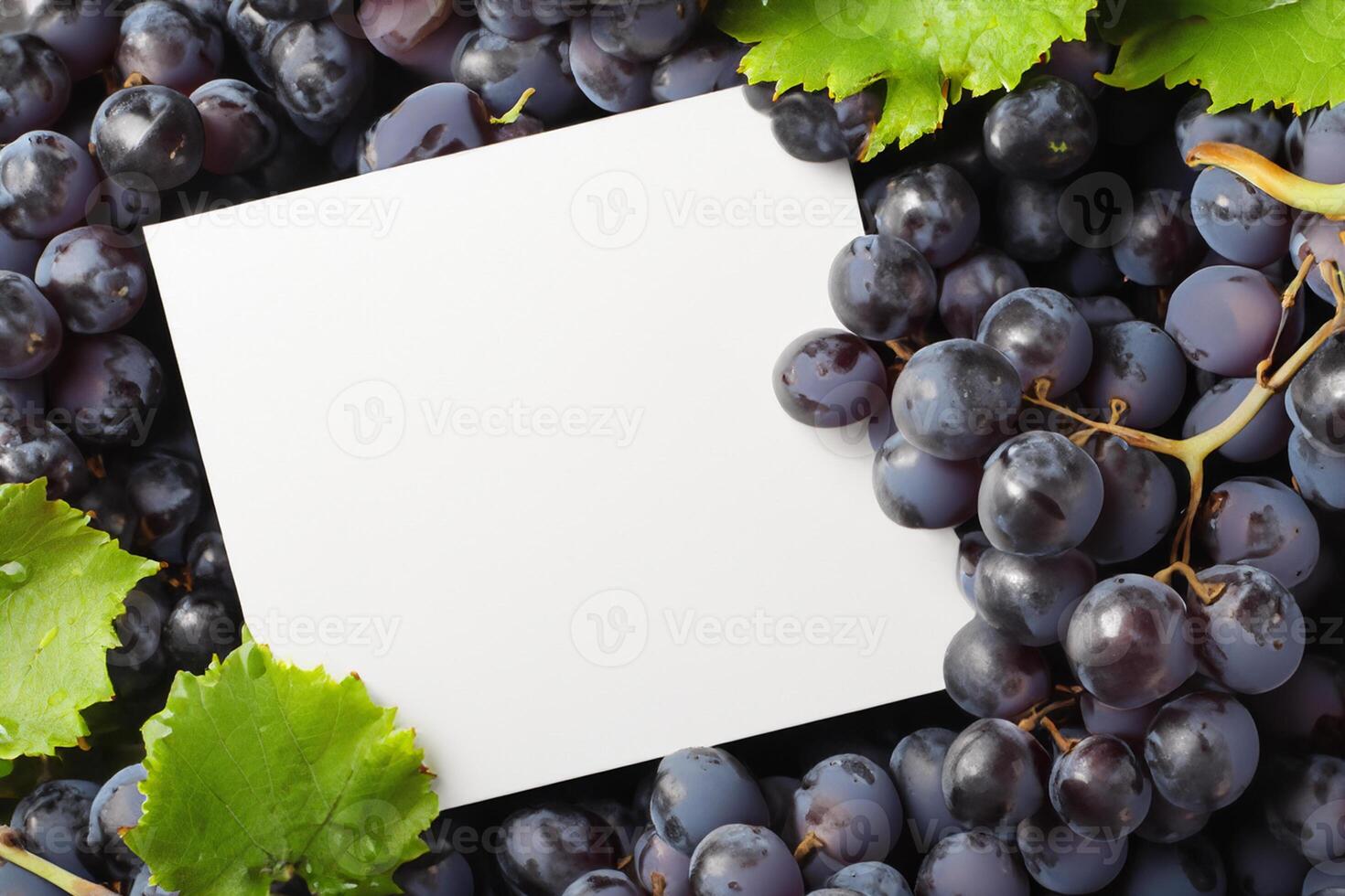 blanco papel Bosquejo mejorado por el jugoso seducir de Fresco uvas, elaboración un visual sinfonía de culinario elegancia y saludable imágenes, dónde gráfico diseño florece en un banquete de vibrante creatividad foto