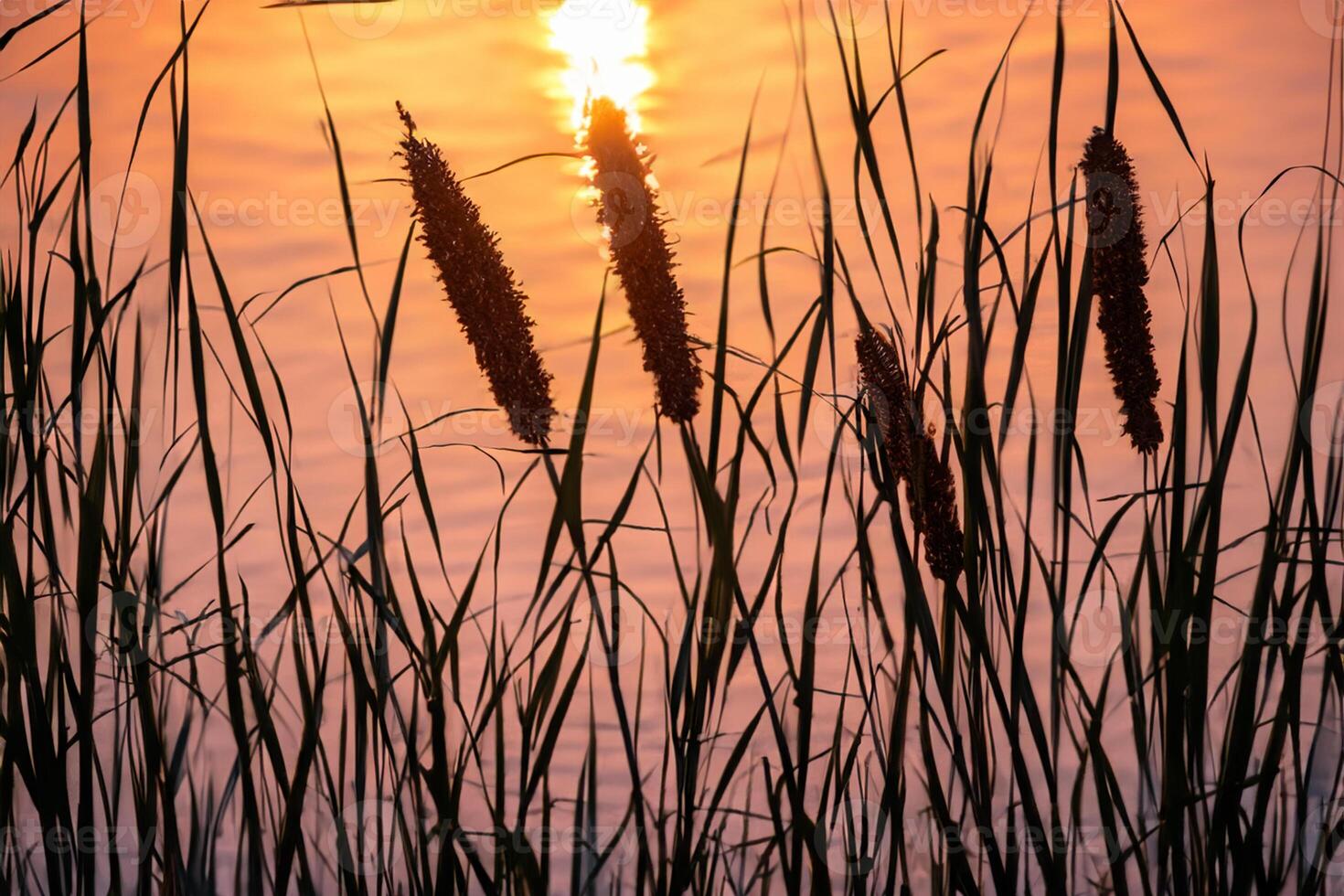 Junco flores disfrutar en el radiante resplandor de el noche sol, creando un espectacular tapiz de de la naturaleza efímero belleza en el tranquilo crepúsculo cielo foto