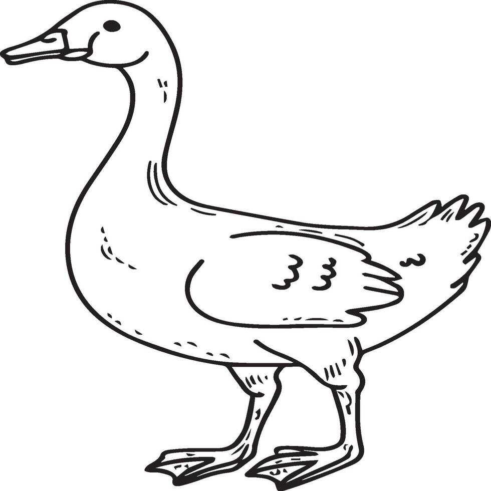 Goose coloring pages. Bird outline for coloring book vector
