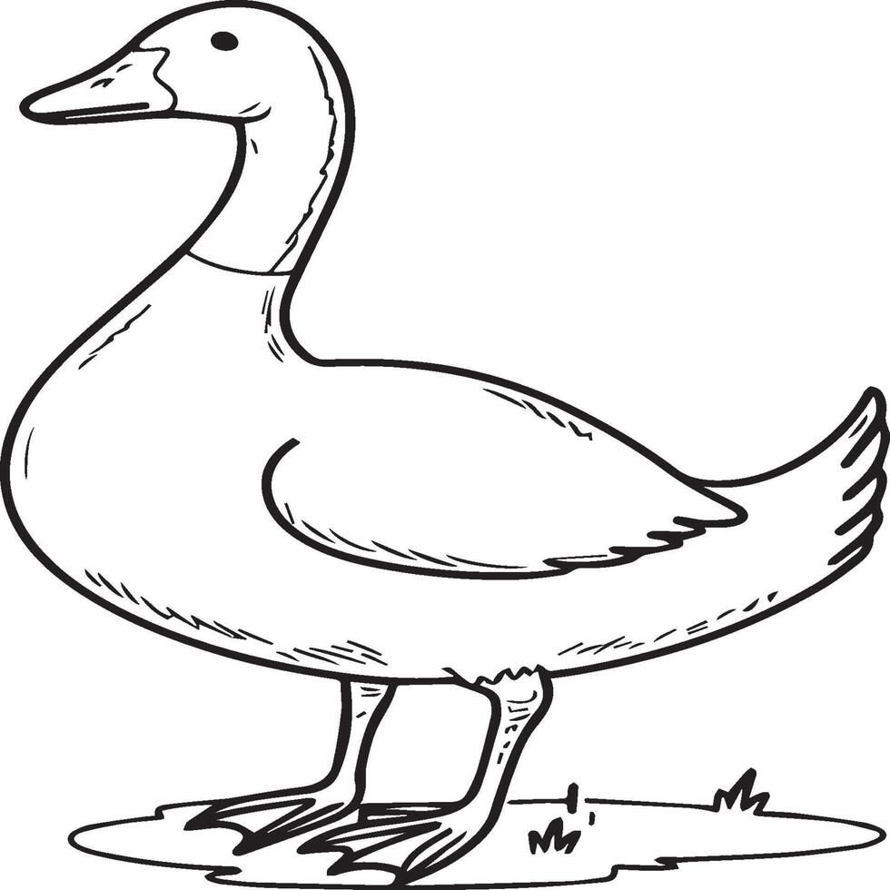 Goose coloring pages. Bird outline for coloring book vector