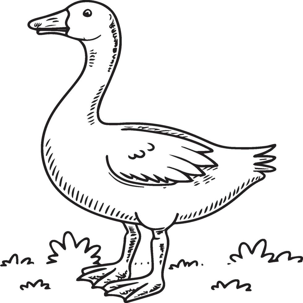 Goose coloring pages. Bird outline for coloring book vector