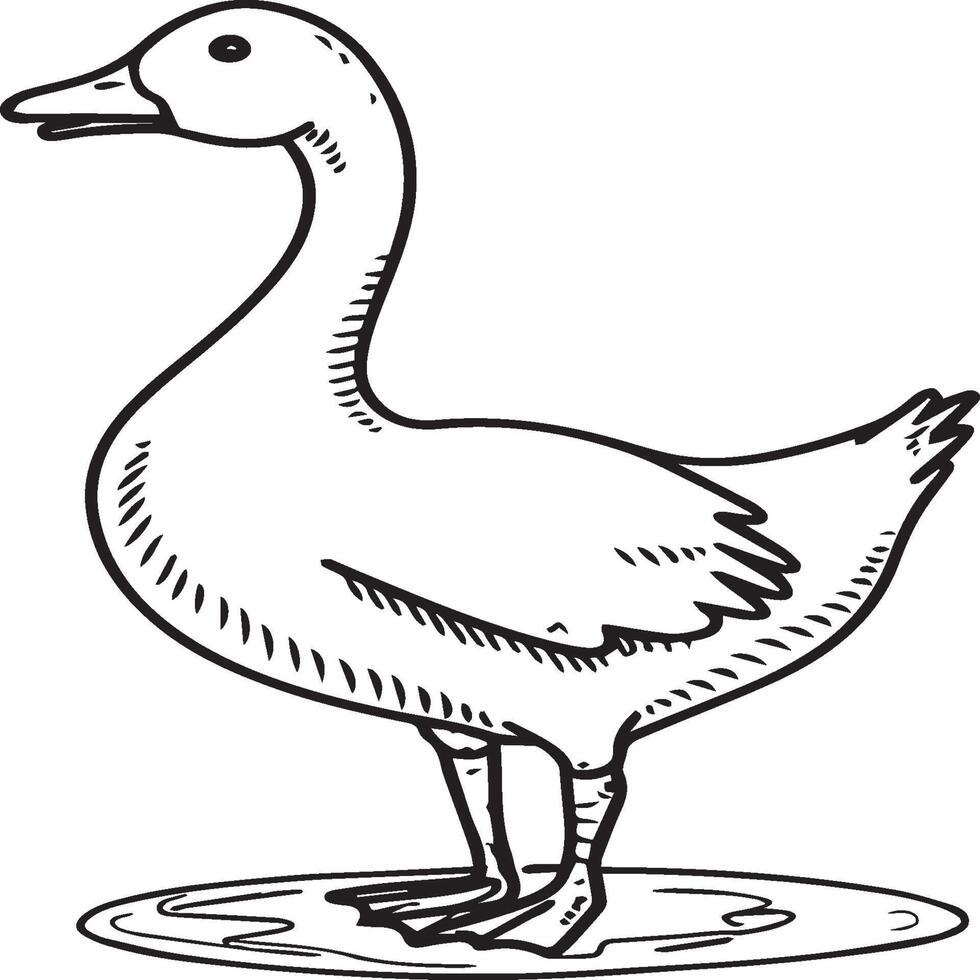 Goose coloring pages. Bird outline for coloring book vector