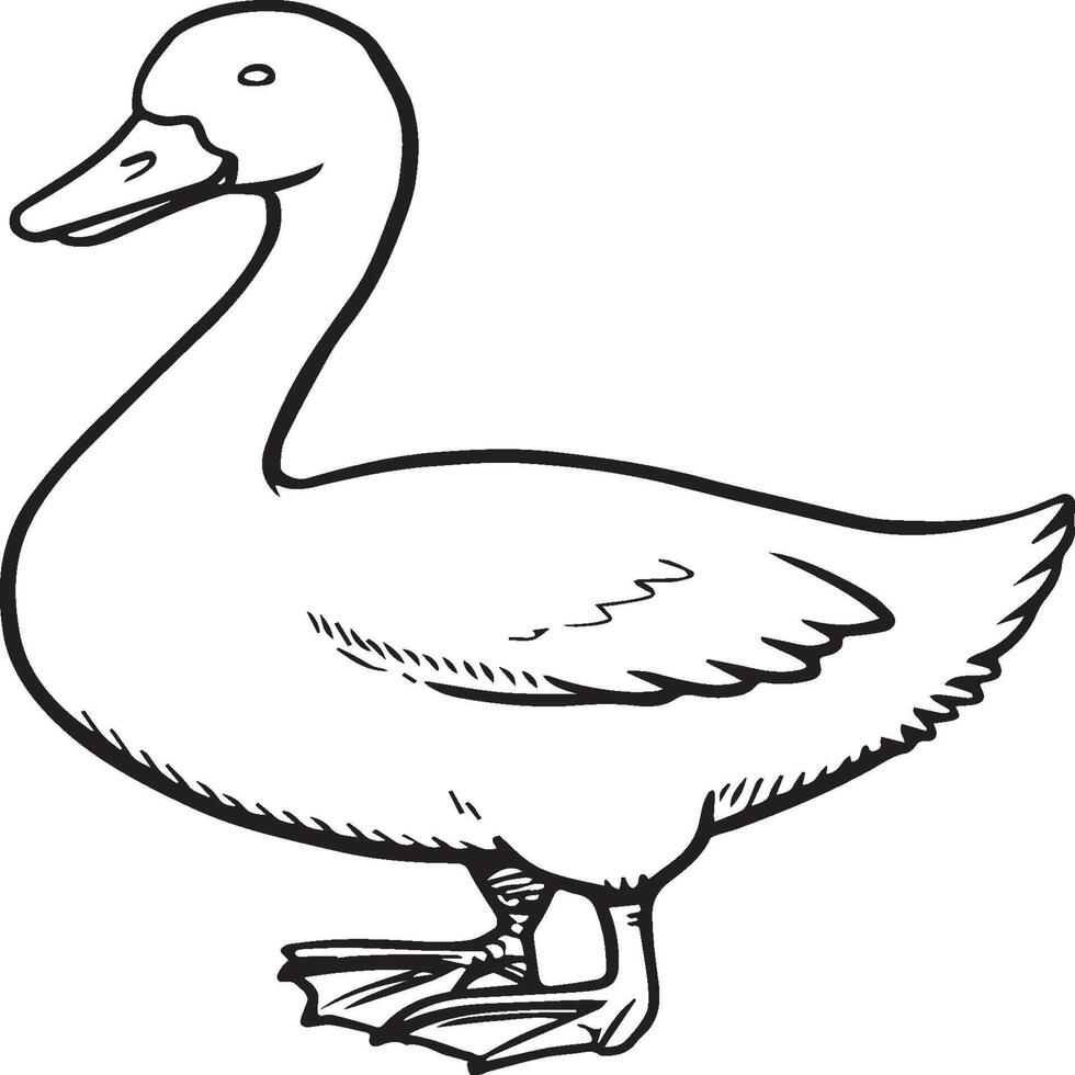 Goose coloring pages. Bird outline for coloring book vector