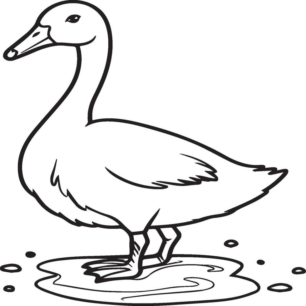 Goose coloring pages. Bird outline for coloring book vector