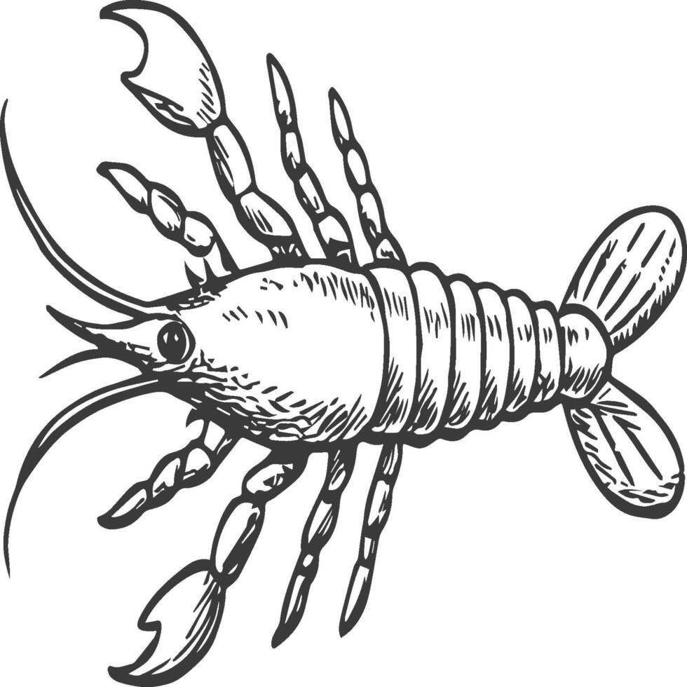 Lobster fish coloring pages for coloring book vector