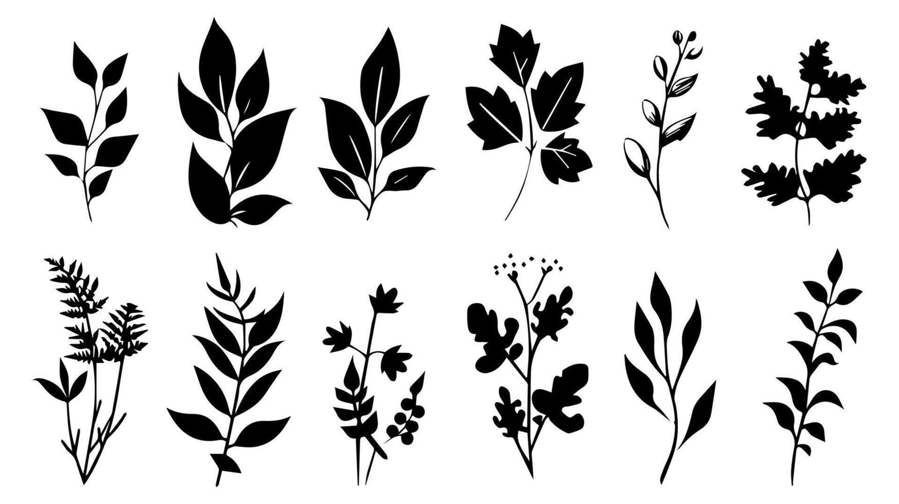 Set of black silhouettes of leaves and flowers vector