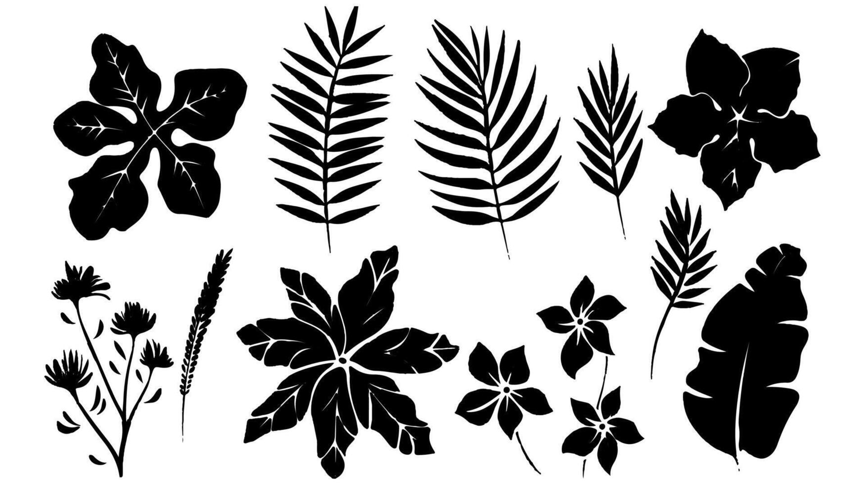 Set of black silhouettes of leaves and flowers vector