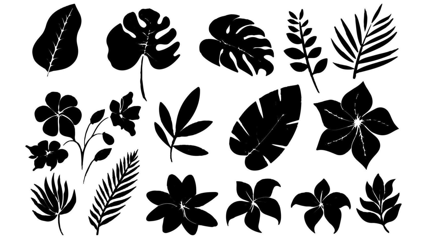 Set of black silhouettes of leaves and flowers vector