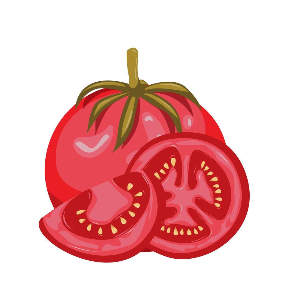 Fresh red tomato and slice tomatoes.Organic food. Applicable for ketchup, juice advertising. Can be used for menu, packaging, textiles. illustration vector