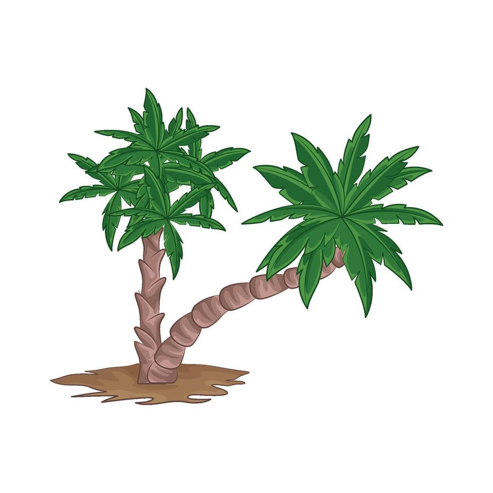 ilustración de palma árbol vector