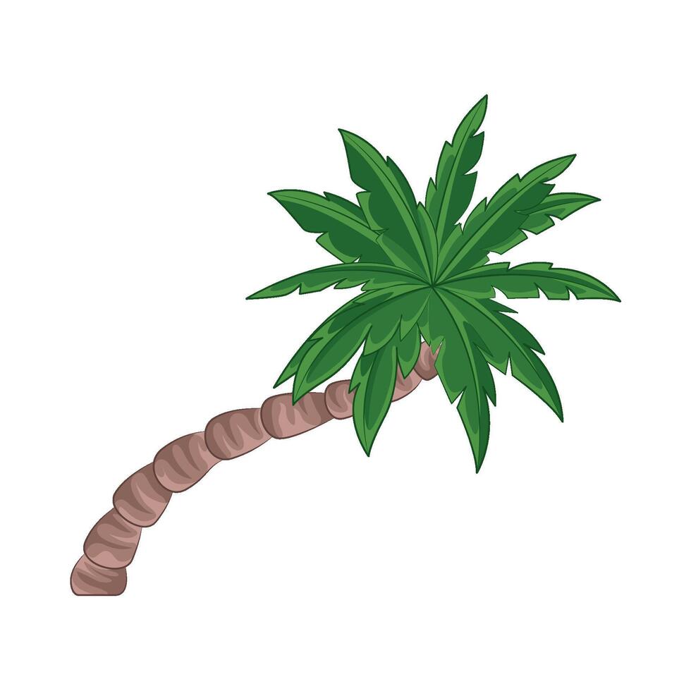 ilustración de palma árbol vector
