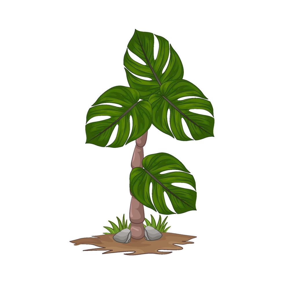 Illustration of palm tree vector