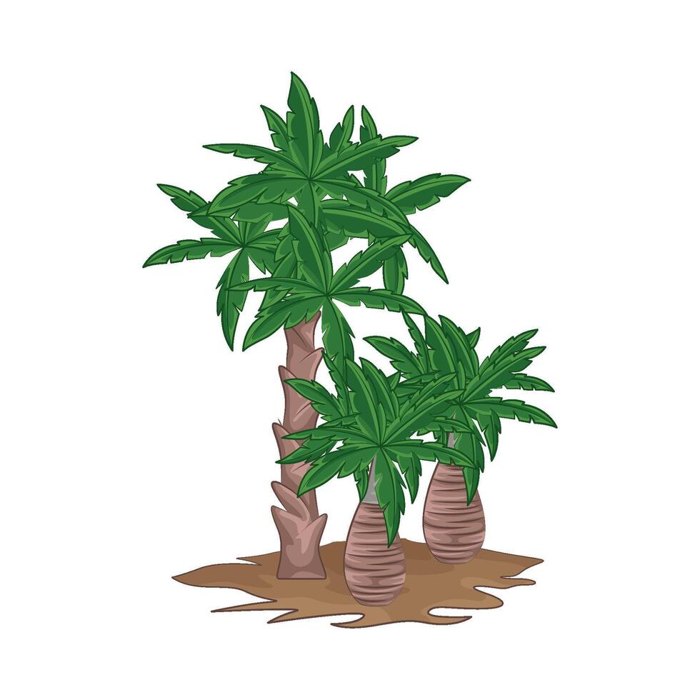 ilustración de palma árbol vector