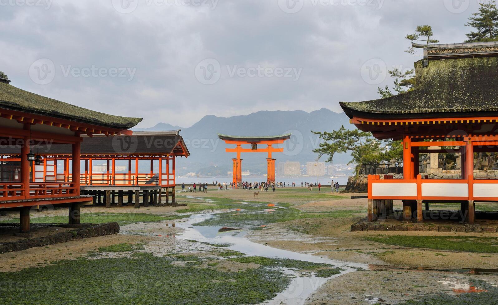 Itsukushima Shrine and the great Torii in Miyajima, Japan photo